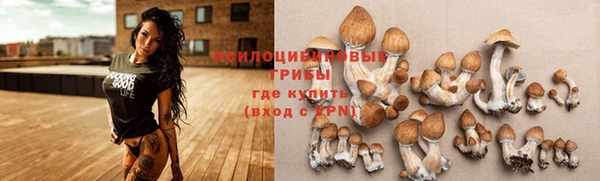 СК Алексеевка