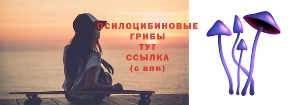 СК Алексеевка