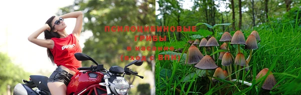 СК Алексеевка